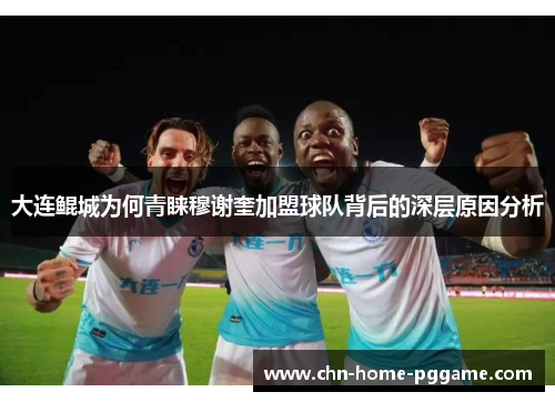 大连鲲城为何青睐穆谢奎加盟球队背后的深层原因分析