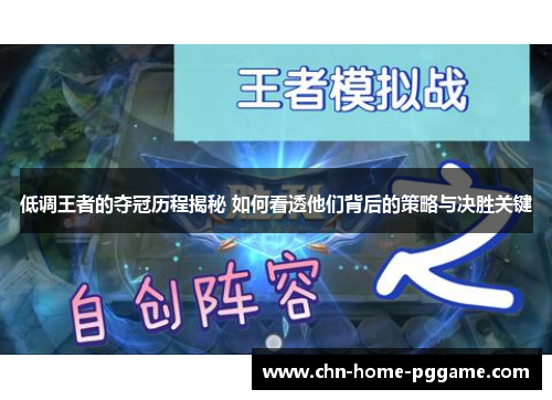 低调王者的夺冠历程揭秘 如何看透他们背后的策略与决胜关键