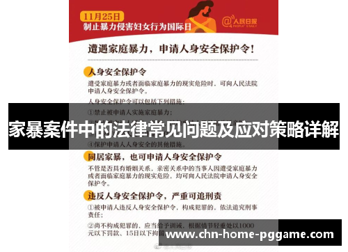 家暴案件中的法律常见问题及应对策略详解