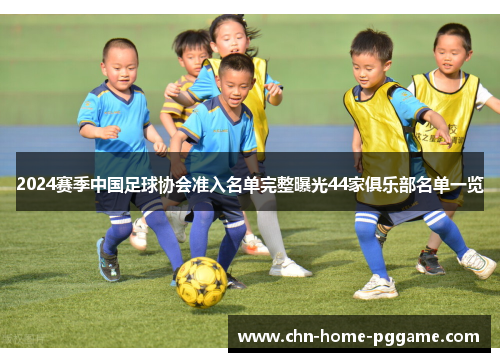2024赛季中国足球协会准入名单完整曝光44家俱乐部名单一览