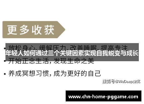 年轻人如何通过三个关键因素实现自我蜕变与成长