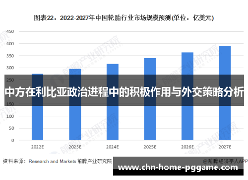 中方在利比亚政治进程中的积极作用与外交策略分析