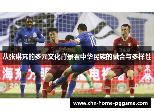 从张琳芃的多元文化背景看中华民族的融合与多样性