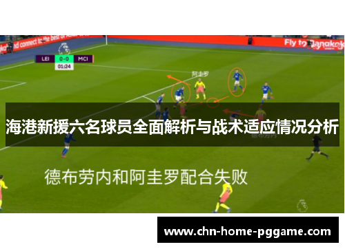 海港新援六名球员全面解析与战术适应情况分析