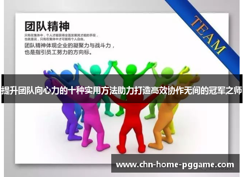 提升团队向心力的十种实用方法助力打造高效协作无间的冠军之师