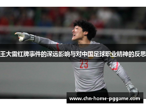 王大雷红牌事件的深远影响与对中国足球职业精神的反思