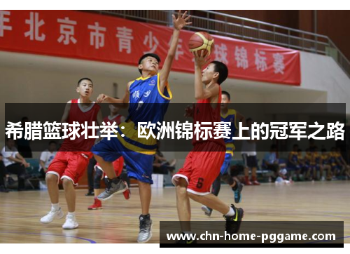 希腊篮球壮举：欧洲锦标赛上的冠军之路