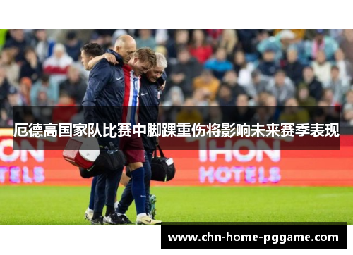 厄德高国家队比赛中脚踝重伤将影响未来赛季表现