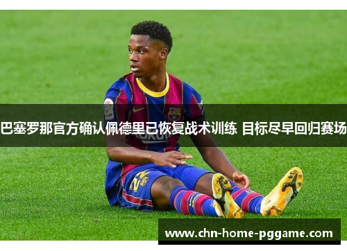 巴塞罗那官方确认佩德里已恢复战术训练 目标尽早回归赛场 巴塞罗那官方确认佩德里已恢复战术训练 目标尽早回归赛场