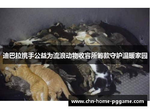 迪巴拉携手公益为流浪动物收容所筹款守护温暖家园